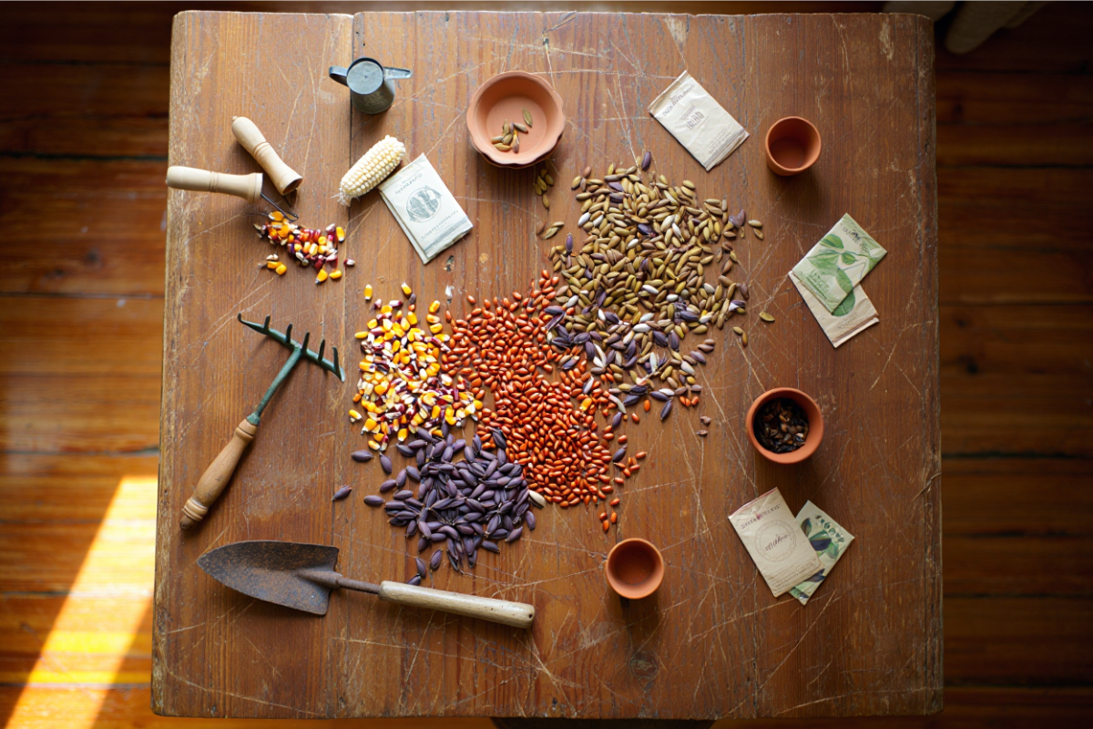 Baker Creek Seeds: Heirloom Treasures to Grow
