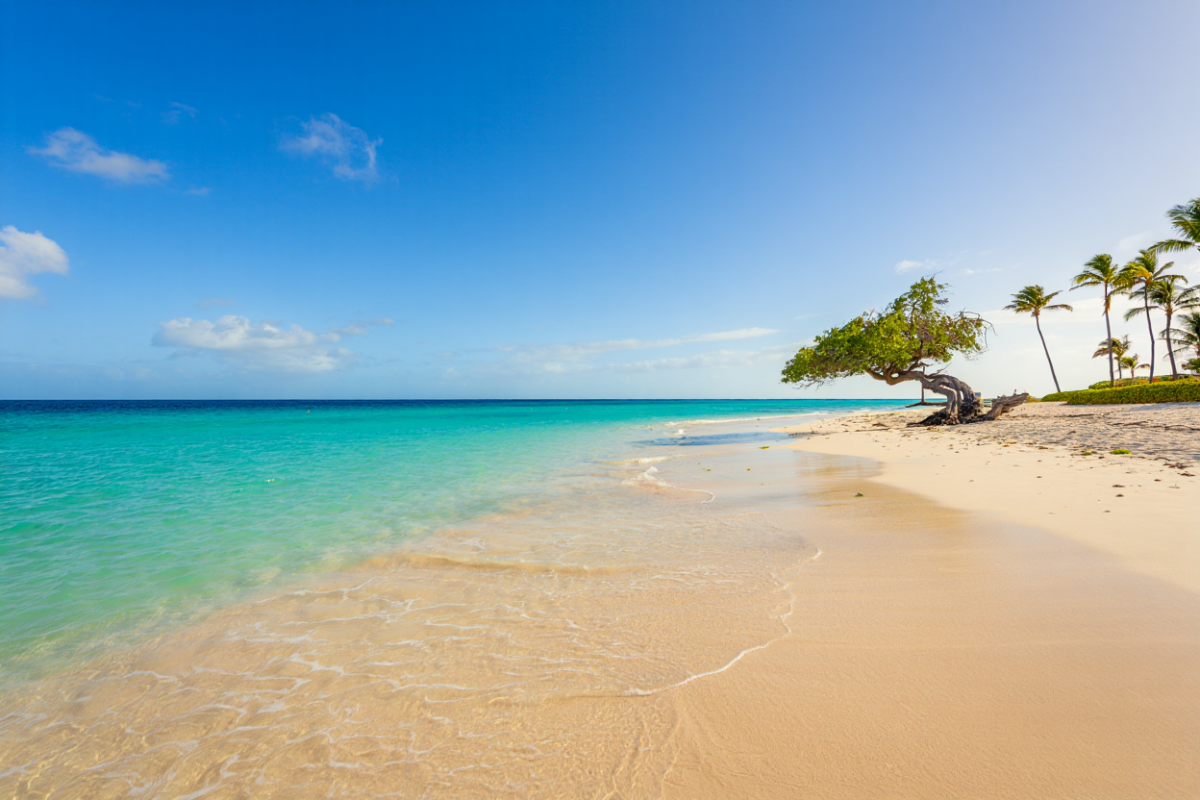 Best Time to Travel to Aruba: Month-by-Month Guide 2025