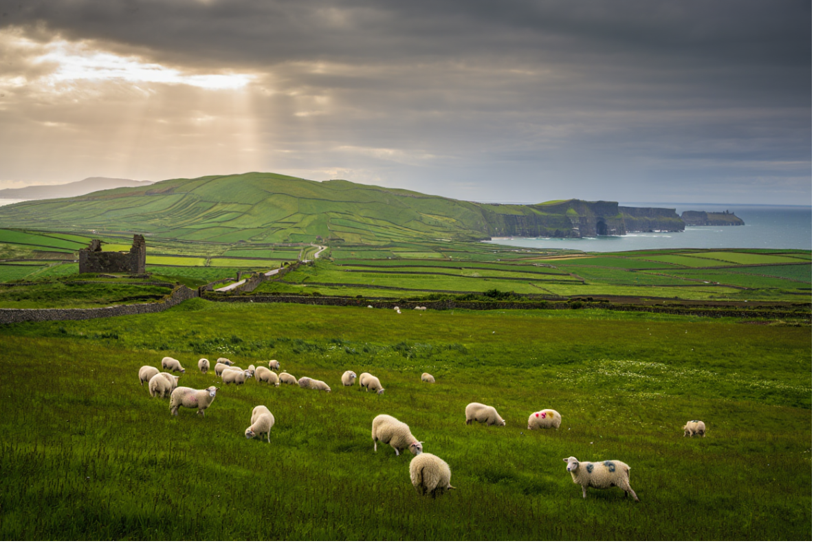Best Time to Travel to Ireland: Season Guide & Tips