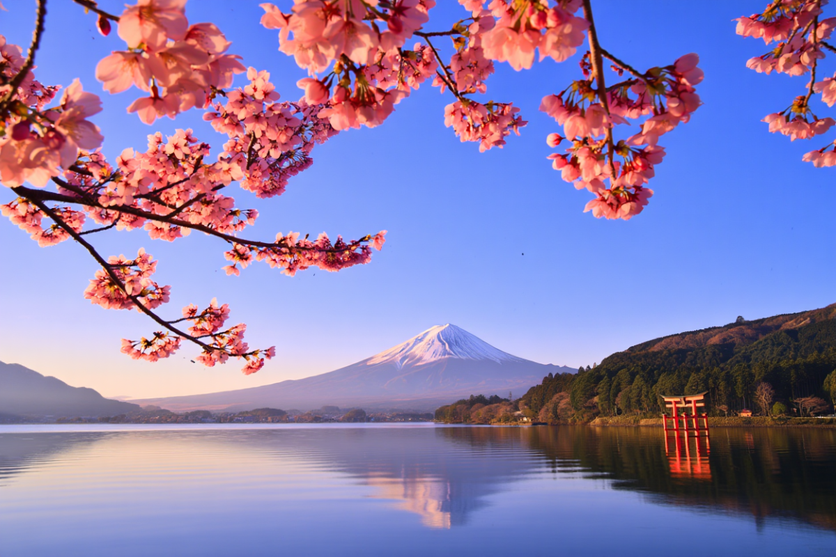 Best Time to Travel to Japan: Weather & Travel Tips
