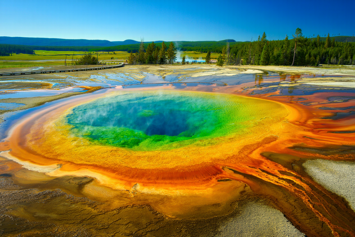Best Time to Travel to Yellowstone: Seasonal Guide