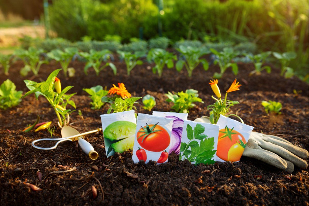 Burpee Seeds: Trusted Choice for Gardeners