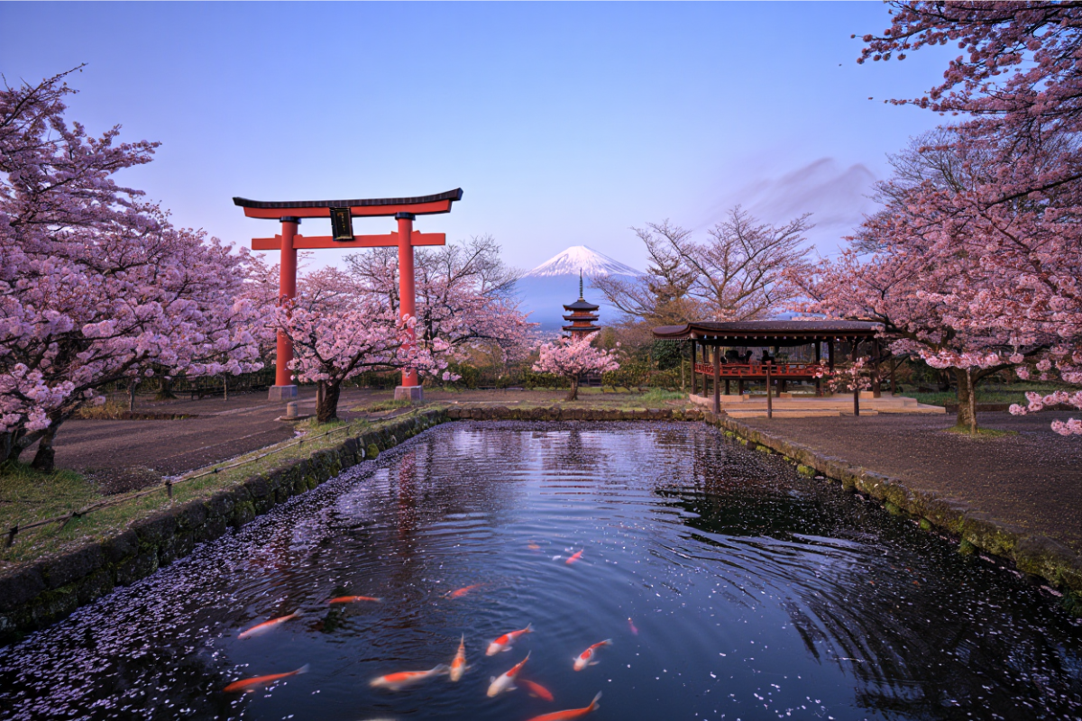 Cheapest Time to Travel to Japan for Affordable Trips