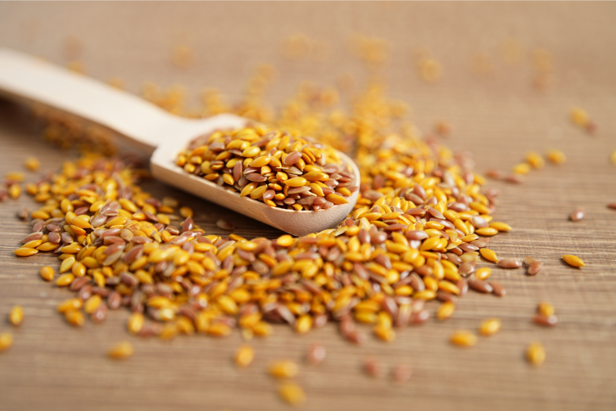Flax Seeds: Tiny Seeds with Big Omega Power