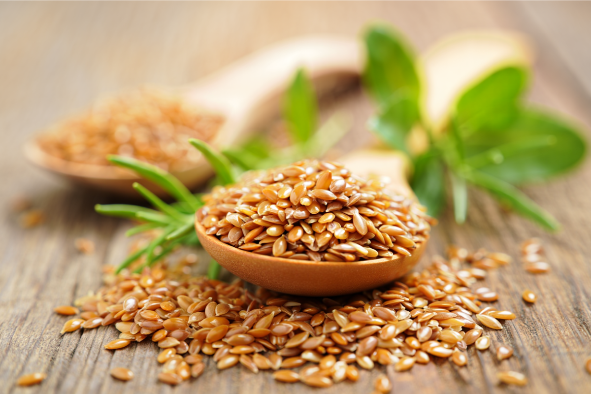 The Goodness of Flax Seeds: A Daily Health Essential for All