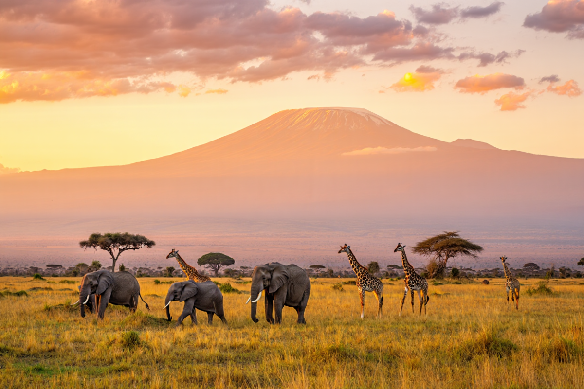 Best Time to Travel to Kenya: Month-by-Month Travel Tips