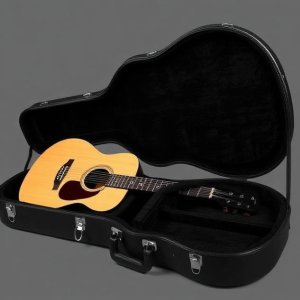 guitar and case