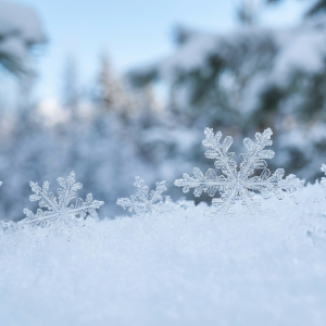 snow background
