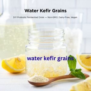 water kefir grains